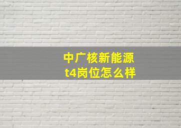 中广核新能源t4岗位怎么样