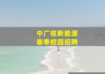 中广核新能源春季校园招聘