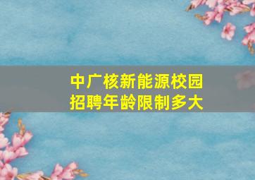 中广核新能源校园招聘年龄限制多大