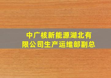 中广核新能源湖北有限公司生产运维部副总