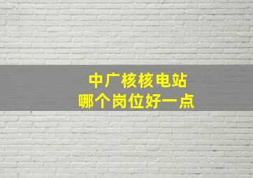 中广核核电站哪个岗位好一点