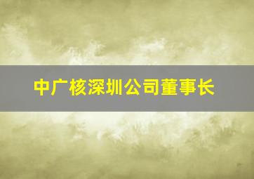 中广核深圳公司董事长