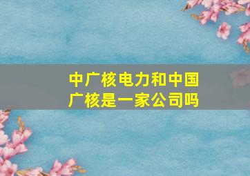 中广核电力和中国广核是一家公司吗