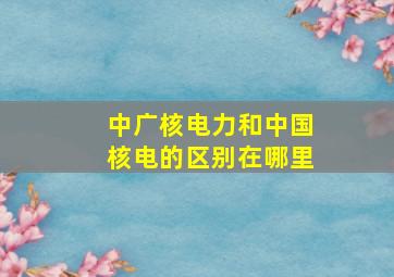 中广核电力和中国核电的区别在哪里