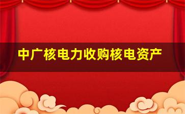 中广核电力收购核电资产