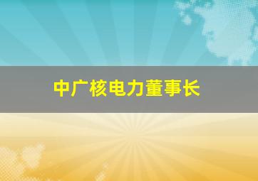 中广核电力董事长