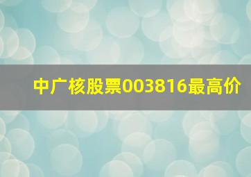 中广核股票003816最高价