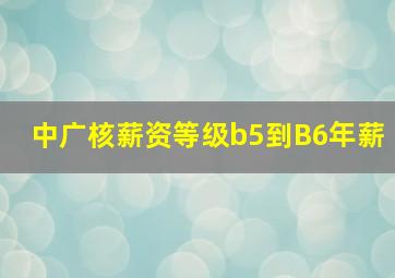 中广核薪资等级b5到B6年薪