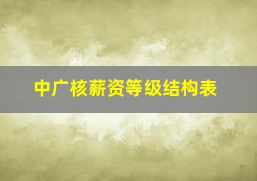 中广核薪资等级结构表