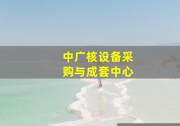 中广核设备采购与成套中心