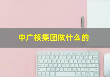 中广核集团做什么的