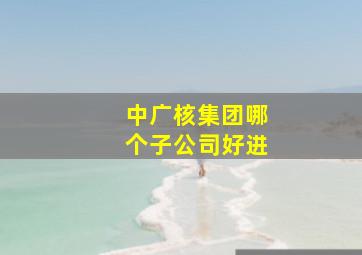 中广核集团哪个子公司好进