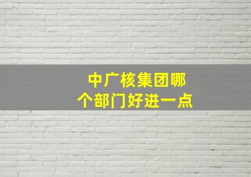 中广核集团哪个部门好进一点