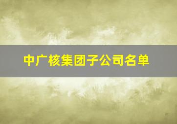 中广核集团子公司名单