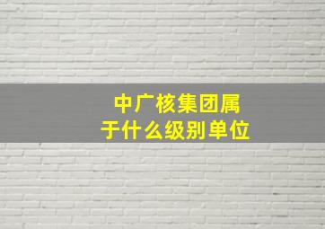 中广核集团属于什么级别单位