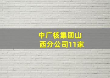 中广核集团山西分公司11家