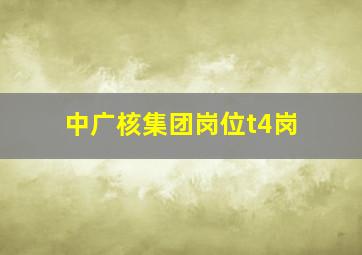 中广核集团岗位t4岗