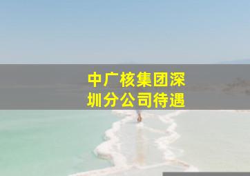 中广核集团深圳分公司待遇