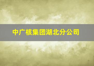 中广核集团湖北分公司