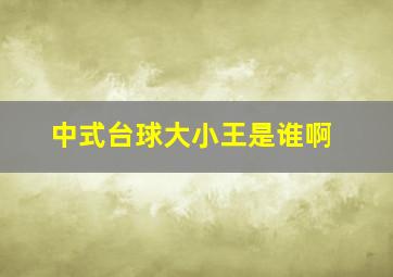 中式台球大小王是谁啊