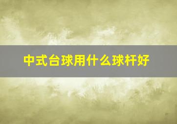 中式台球用什么球杆好