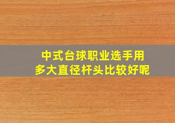 中式台球职业选手用多大直径杆头比较好呢