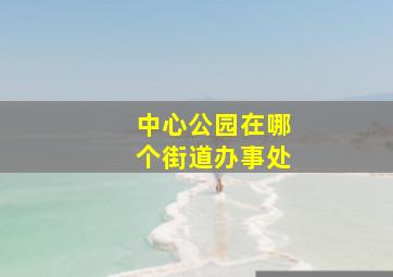 中心公园在哪个街道办事处