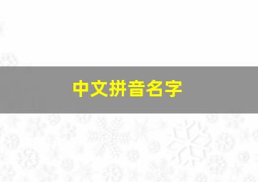 中文拼音名字