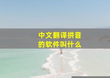 中文翻译拼音的软件叫什么