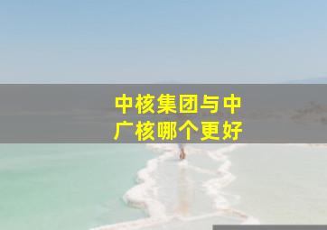 中核集团与中广核哪个更好