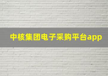 中核集团电子采购平台app