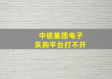 中核集团电子采购平台打不开