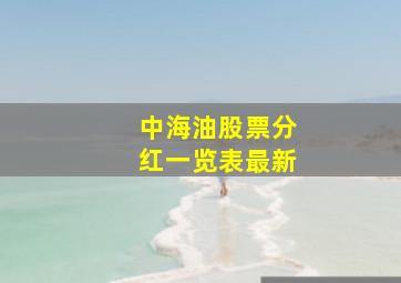 中海油股票分红一览表最新