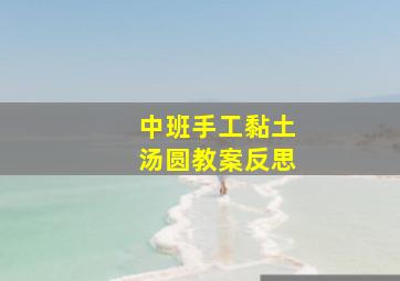 中班手工黏土汤圆教案反思