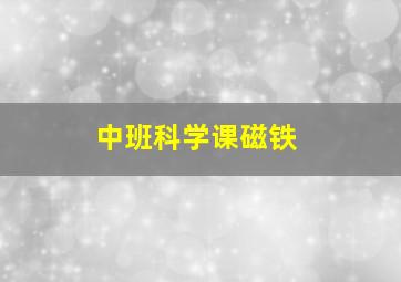 中班科学课磁铁