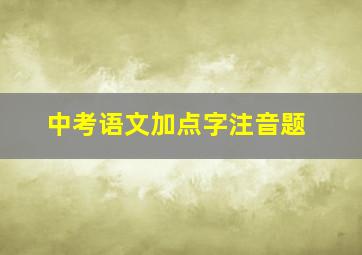 中考语文加点字注音题