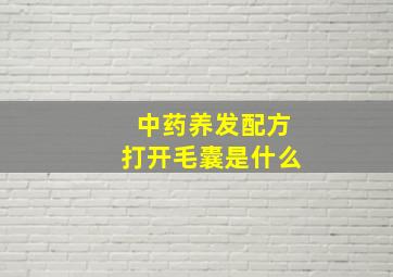 中药养发配方打开毛囊是什么