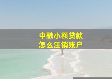 中融小额贷款怎么注销账户