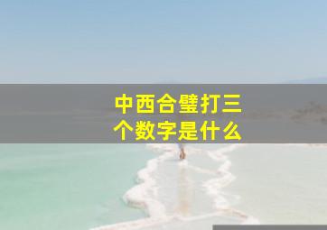 中西合璧打三个数字是什么