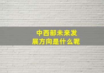 中西部未来发展方向是什么呢