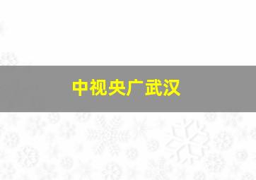 中视央广武汉