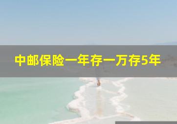 中邮保险一年存一万存5年