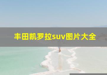 丰田凯罗拉suv图片大全