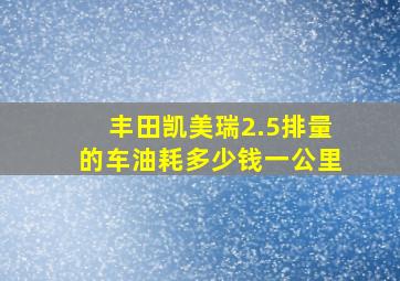 丰田凯美瑞2.5排量的车油耗多少钱一公里