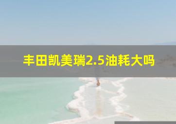 丰田凯美瑞2.5油耗大吗