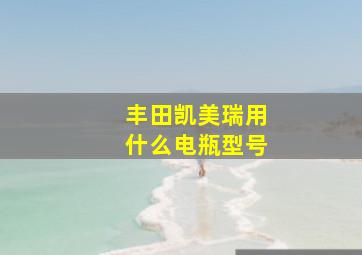 丰田凯美瑞用什么电瓶型号