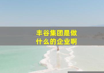 丰谷集团是做什么的企业啊