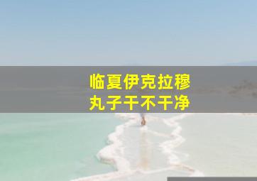 临夏伊克拉穆丸子干不干净