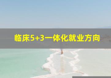 临床5+3一体化就业方向