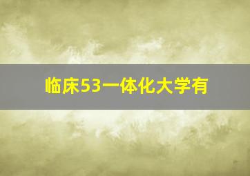 临床53一体化大学有